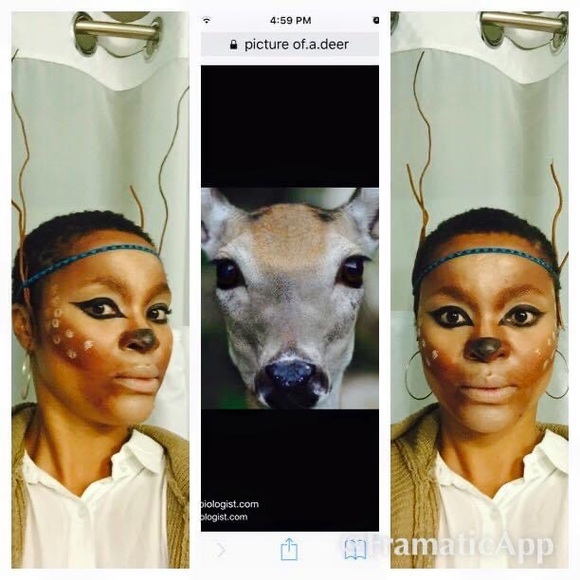 Meet your Posher, Sassy - Picture 8 of 13